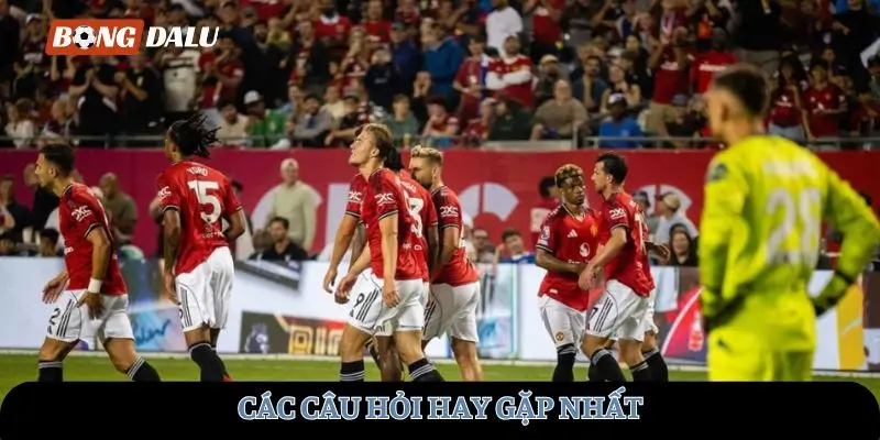 Các câu hỏi hay gặp nhất