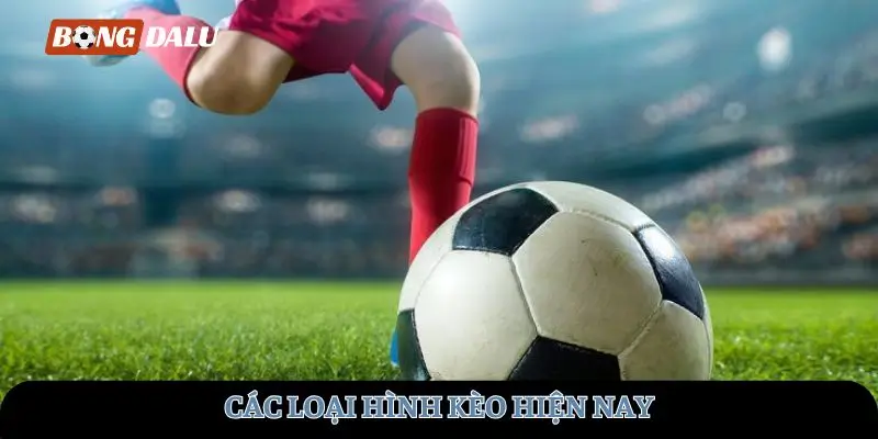 Các loại hình kèo hiện nay