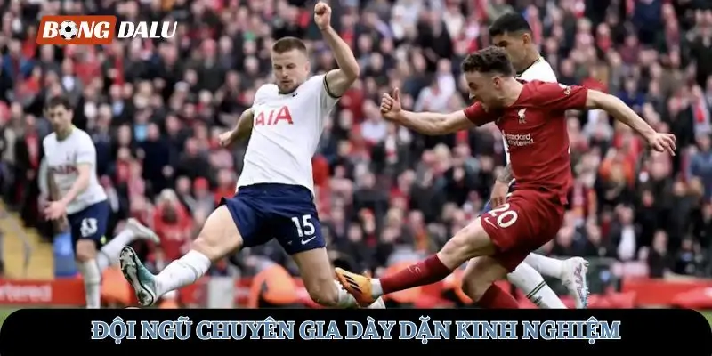 Đội ngũ chuyên gia dày dặn