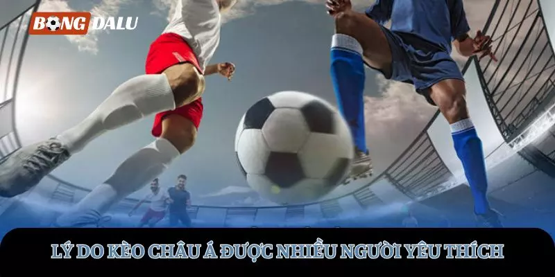 Lý do kèo châu Á được nhiều người yêu thích