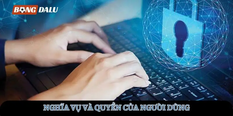 Nghĩa vụ và quyền của người dùng