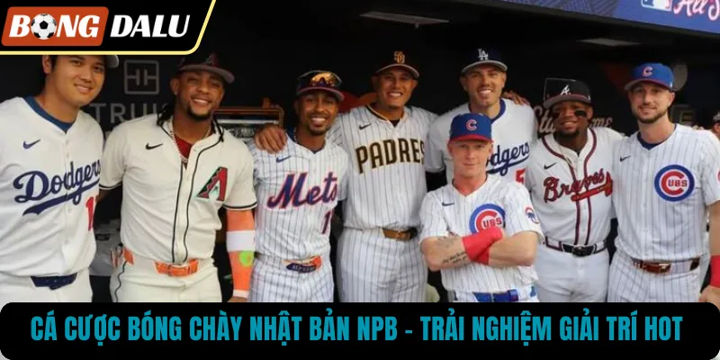 Cá Cược Bóng Chày Nhật Bản NPB – Trải Nghiệm Giải Trí Hot