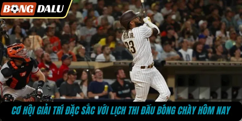 Cơ hội giải trí đặc sắc với lịch thi đấu bóng chày hôm nay