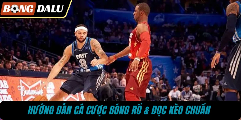 Hướng dẫn cá cược bóng rổ & đọc kèo chuẩn 