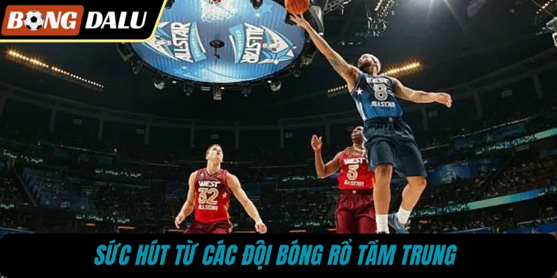 Sức hút từ các đội bóng rổ tầm trung 