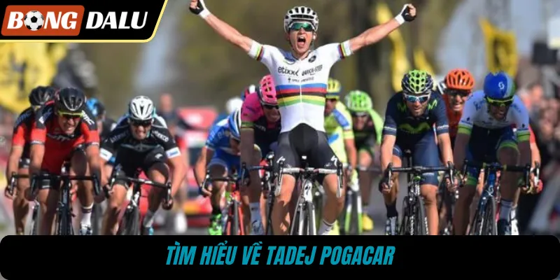 Tìm hiểu về Tadej Pogacar