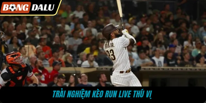 Trải nghiệm kèo Run Live thú vị 